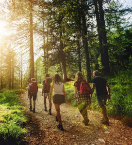 Mehr über den Artikel erfahren Image 2