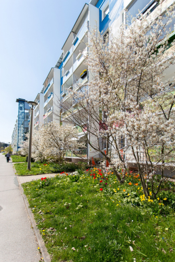 Titelbild - Gestalten Sie mit! Ihre individuelle 3-Raum-Wohnung