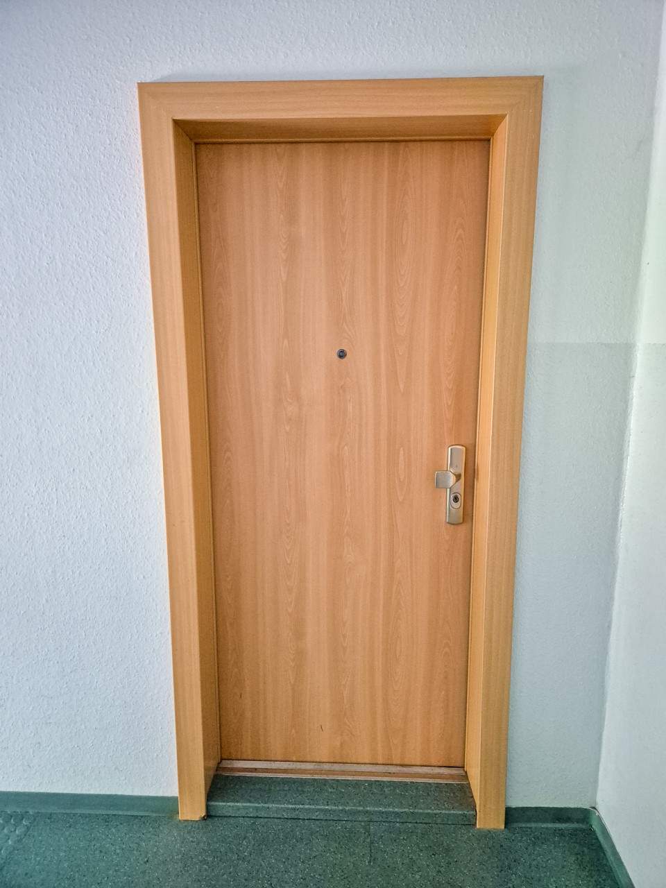 Apartment Door - Brief Description 3510/2/21