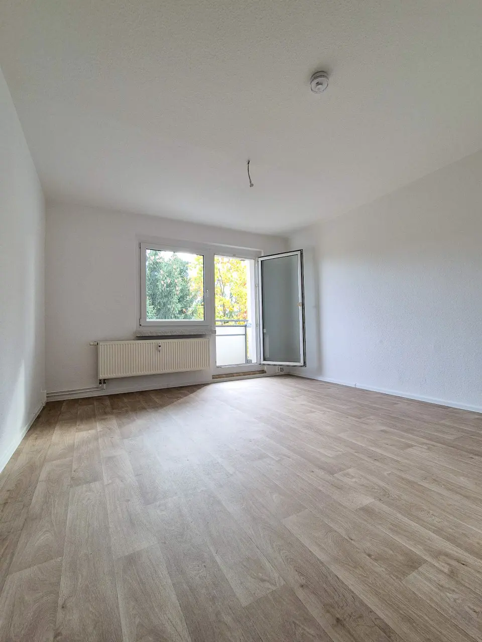 Living Room - Newly Renovated – 4-Room Apartment in a Great Location