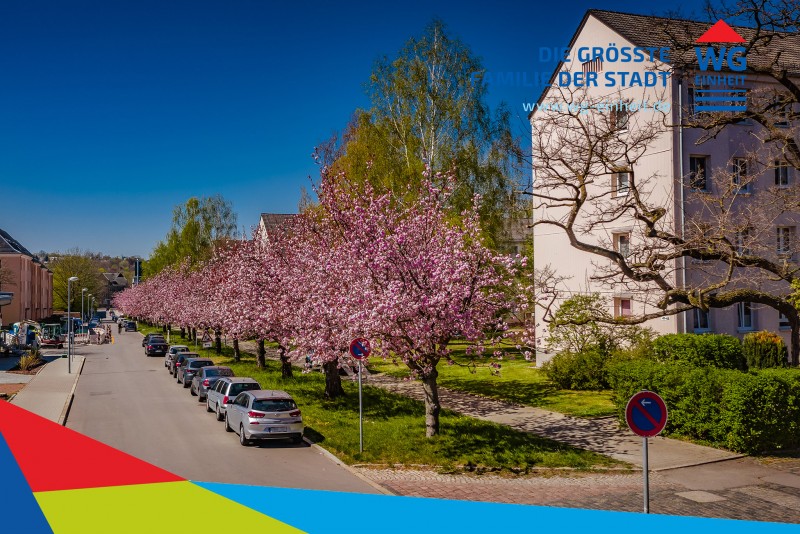Wohngebiet - Ein Schmuckstück in Altchemnitz
