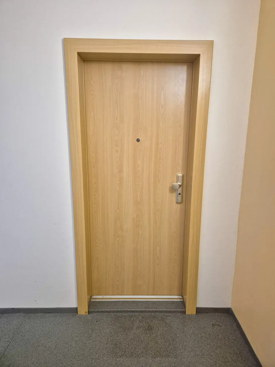 Apartment door - 2-room apartment with a large living room