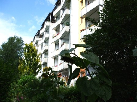 Detailansicht - !!NEU!! Schöne 3-Raum-Wohnung im Chemnitzer Süden