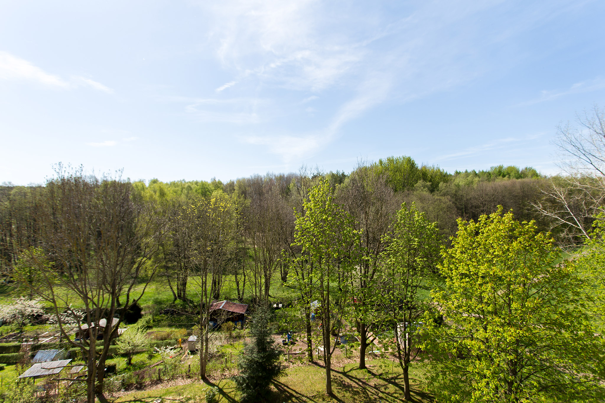 Ausblick ins Grüne - Traumhafter Ausblick ins Grüne