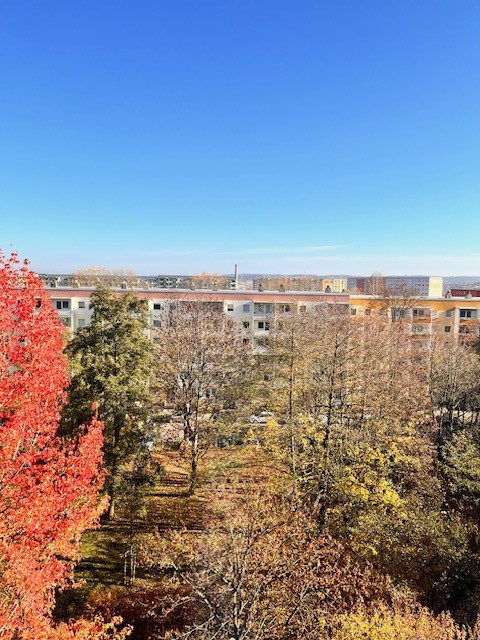 kann eine Aussicht schöner sein? - 4-Raumwohnung wartet auf Sie!