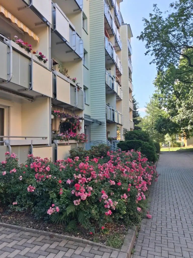 Titelbild - !!4-Raumwohnung unterm Dach, bezugsfertig!!