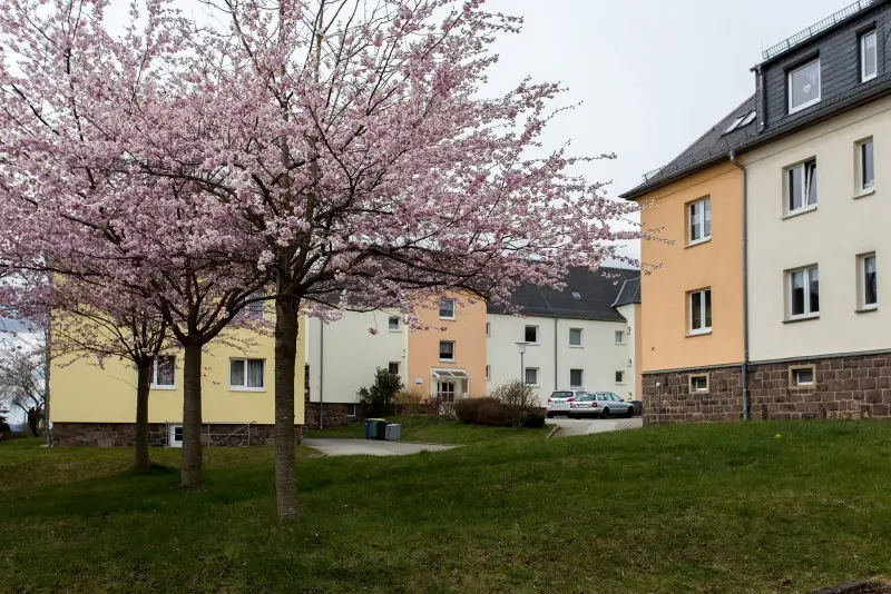Wohnen in grünem Umfeld - Etagenwohnung nach Ausbau in Hohenstein-Ernstthal