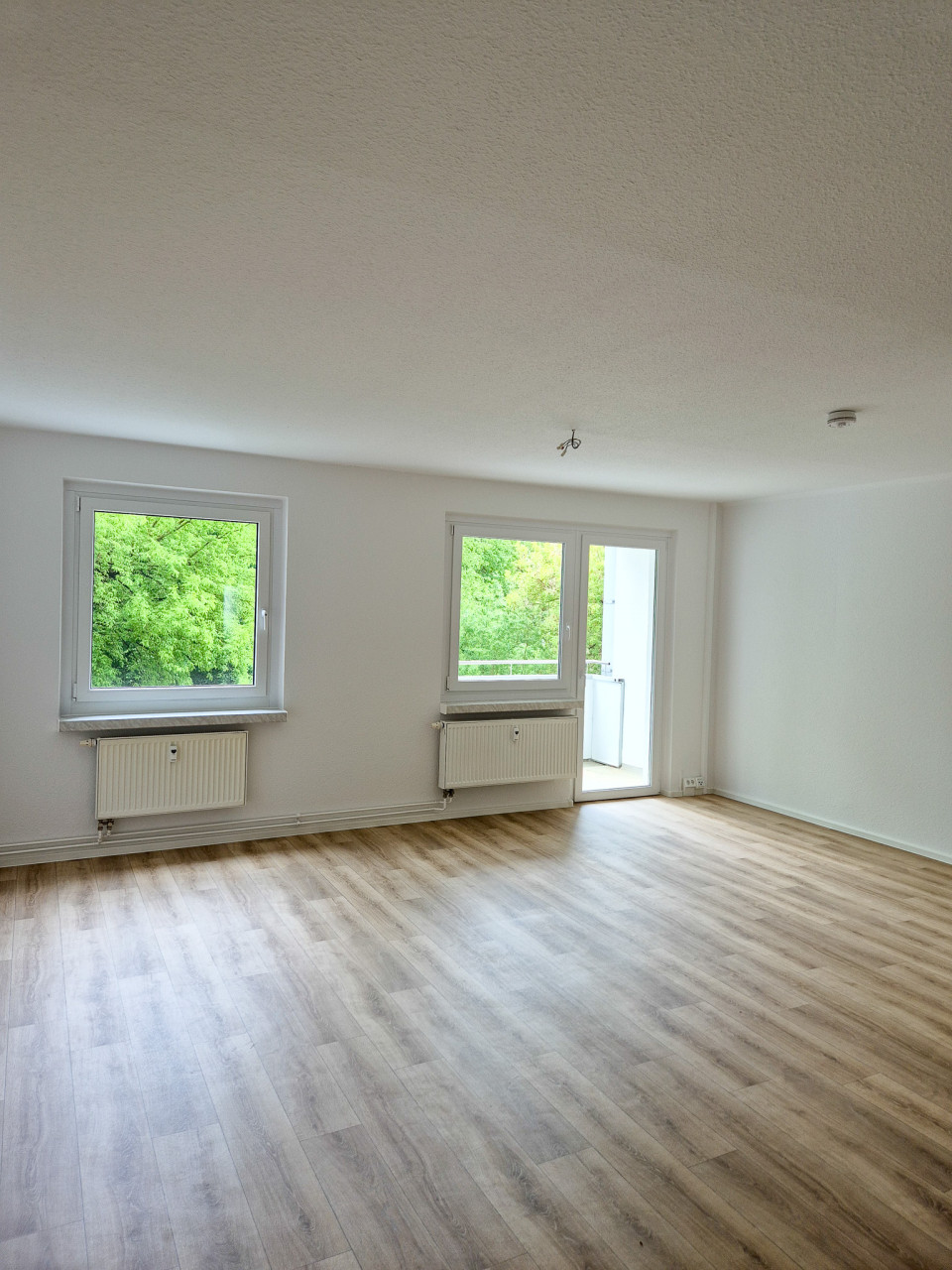 Kitchen-living room - 3-room apartment with balcony and bathtub on the 1st floor