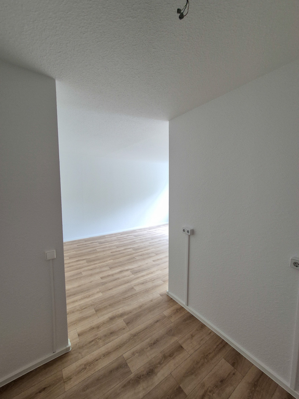 Kitchen-living room - 3-room apartment with balcony and bathtub on the 1st floor