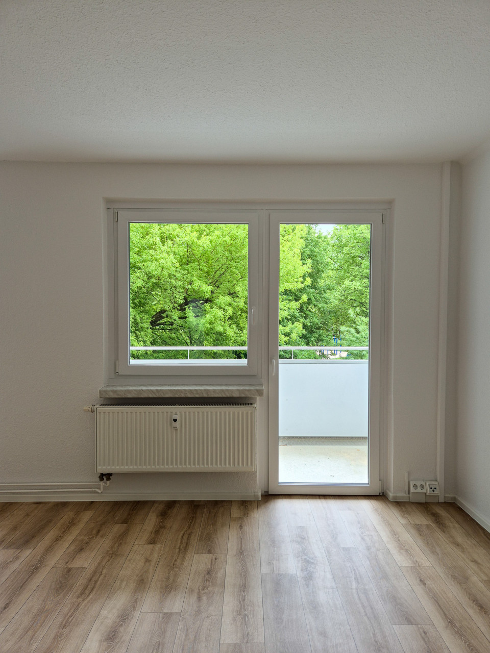 Balcony door - 3-room apartment with balcony and bathtub on the 1st floor