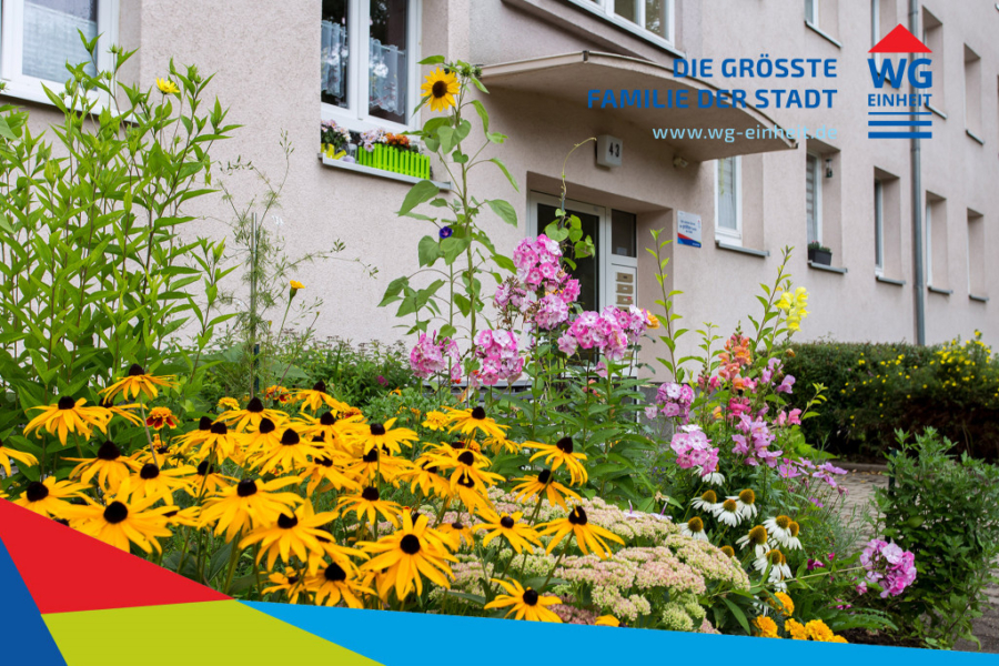 Cover picture - Altchemnitz: close to the center and green