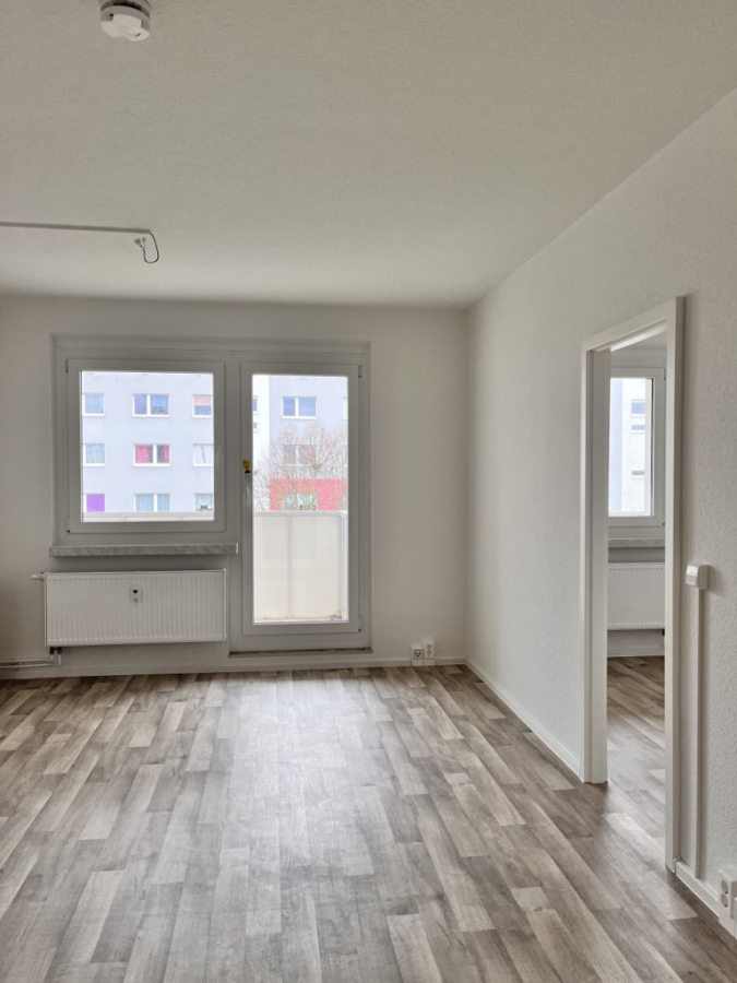 Titelbild - FRISCH RENOVIERT! 2 Zimmer, Tageslichtküche und XXL-Balkon