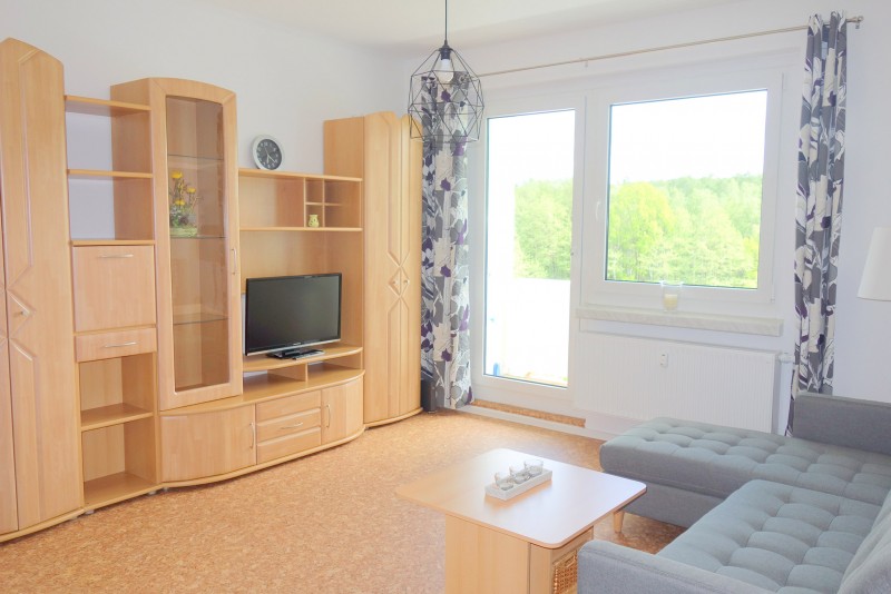 Wohnzimmer - Möblierte Wohnung im Chemnitzer Süden – auch perfekt für Pendler!