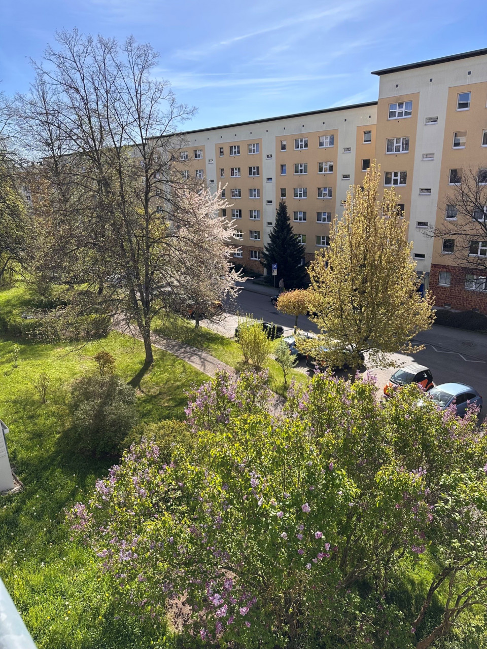 Detailansicht - Erstbezug nach Ausbau in Markersdorf Nord
