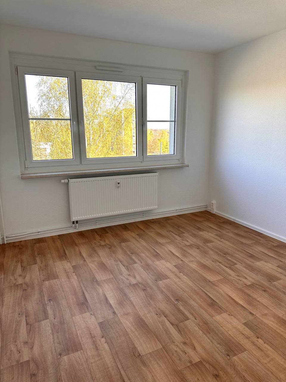 Detailansicht - Erstbezug nach Ausbau in Markersdorf