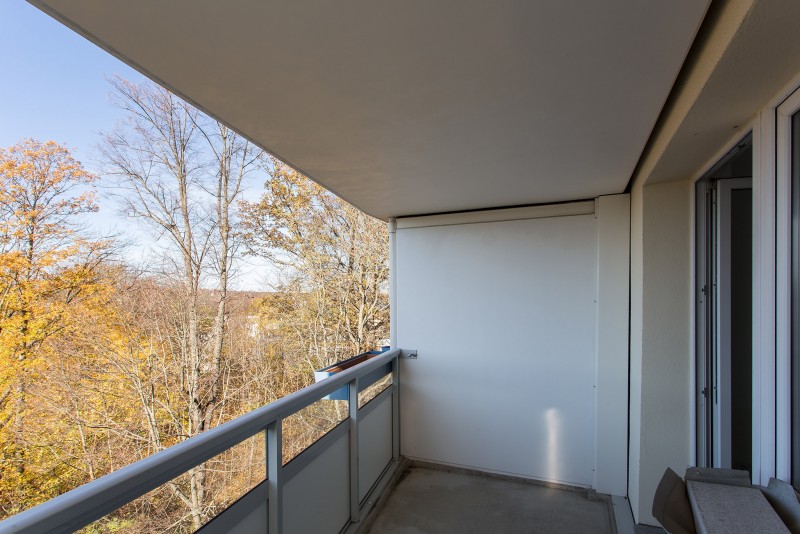 großer Balkon mit Blick ins Grüne - Schick ausgestattete 3-Zimmer-Wohnung in Altchemnitz