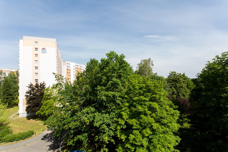 3-Raum Whg. mit umgebauter Küche/Fenster sowie HWR - Foto 5