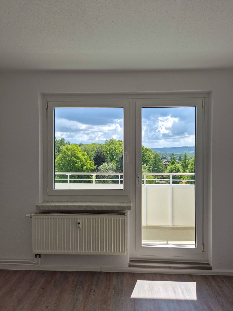 Balkontür - 2-Raum-Whg. mit Erzgebirgsblick