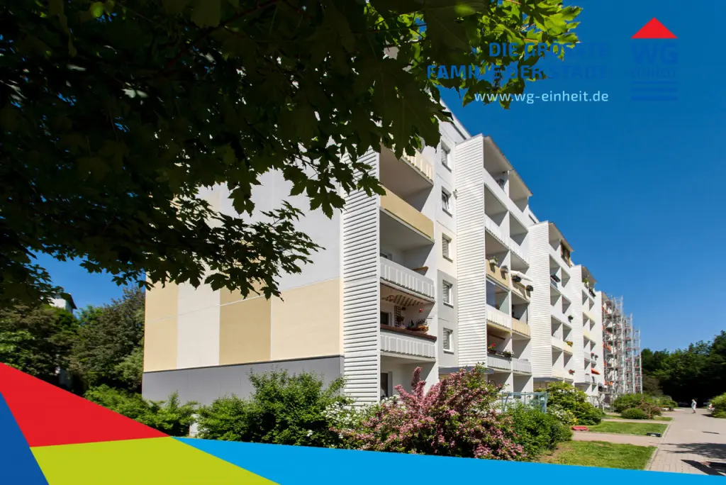 Cover Photo - Complete Renovation – You Have a Say!